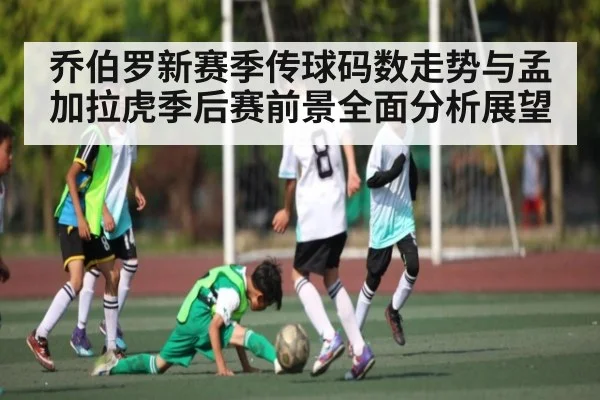 乔伯罗新赛季传球码数走势与孟加拉虎季后赛前景全面分析展望 | ng28