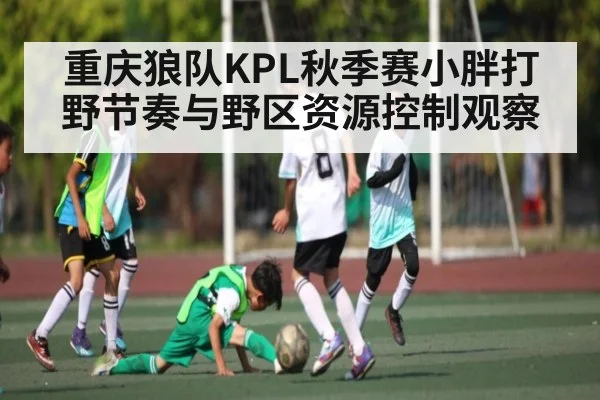 重庆狼队KPL秋季赛小胖打野节奏与野区资源控制观察 | ng28